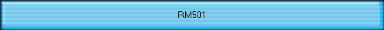 RM501